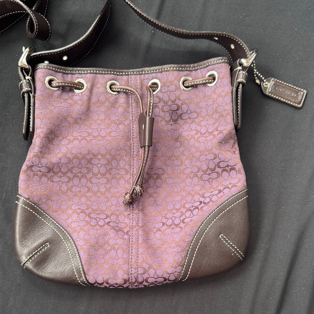 Coach Purple and Brown Crossbody Bag